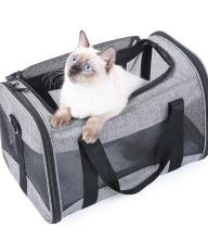 Cat in a carrier