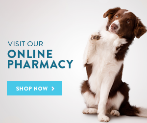 Visit our online pharmacy. Shop now